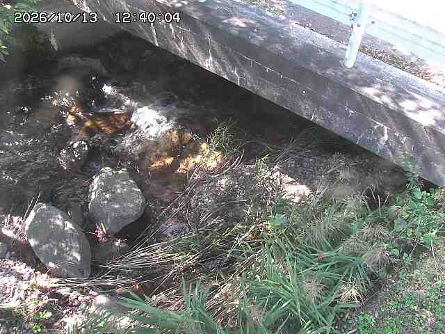 八河谷川１2026/10/13 14:30:00