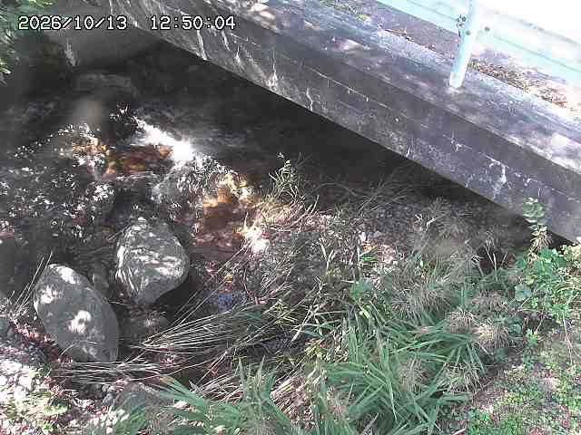 八河谷川１2026/10/13 14:30:00