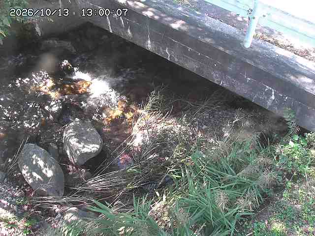 八河谷川１2026/10/13 14:30:00