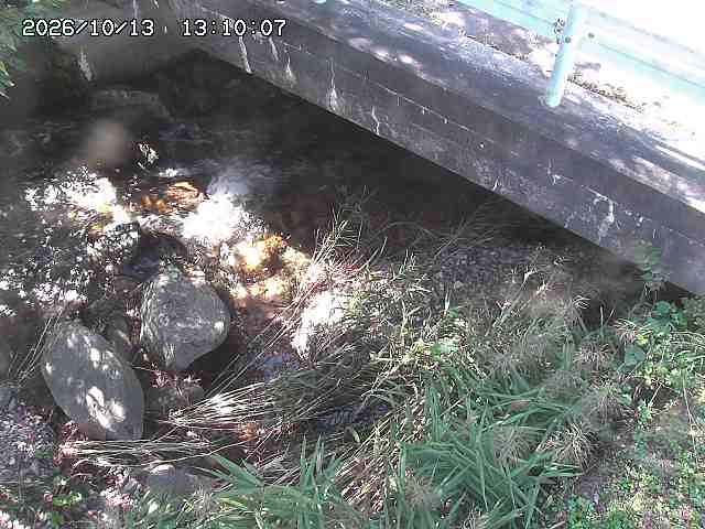 八河谷川１2026/10/13 14:30:00