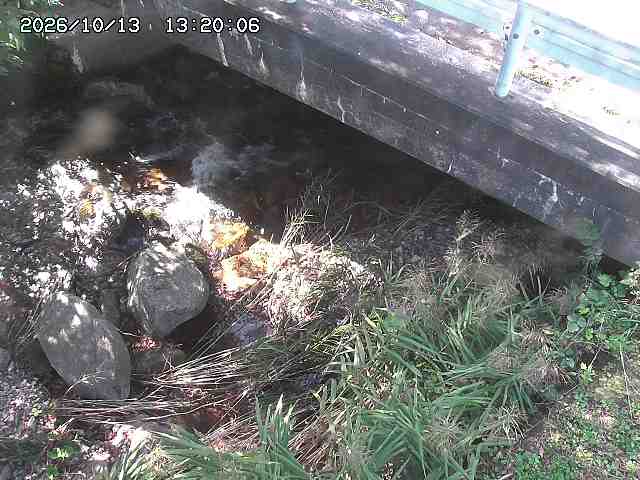 八河谷川１2026/10/13 14:30:00