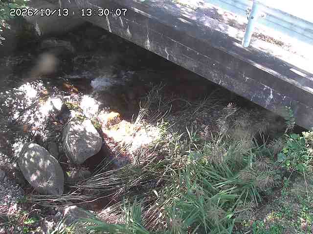 八河谷川１2026/10/13 14:30:00