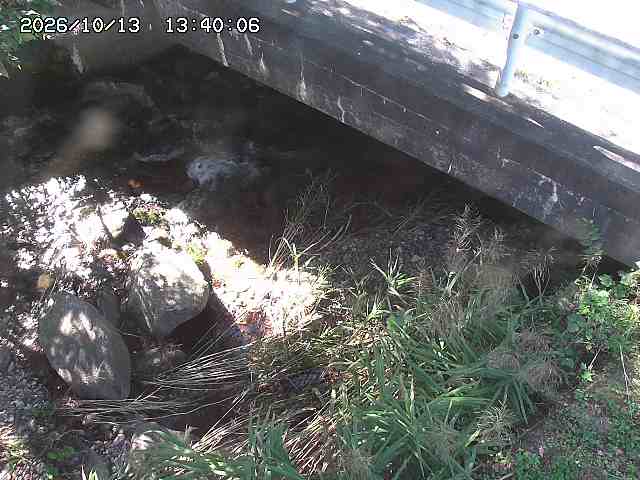 八河谷川１2026/10/13 14:30:00