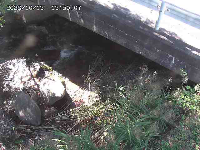 八河谷川１2026/10/13 14:30:00