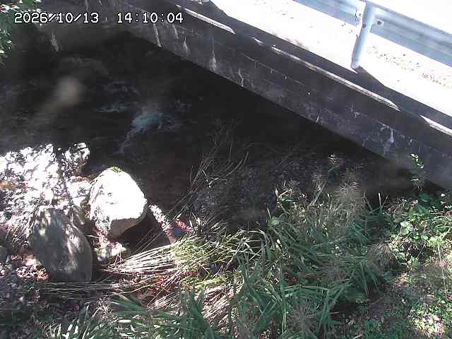 八河谷川１2026/10/13 14:30:00