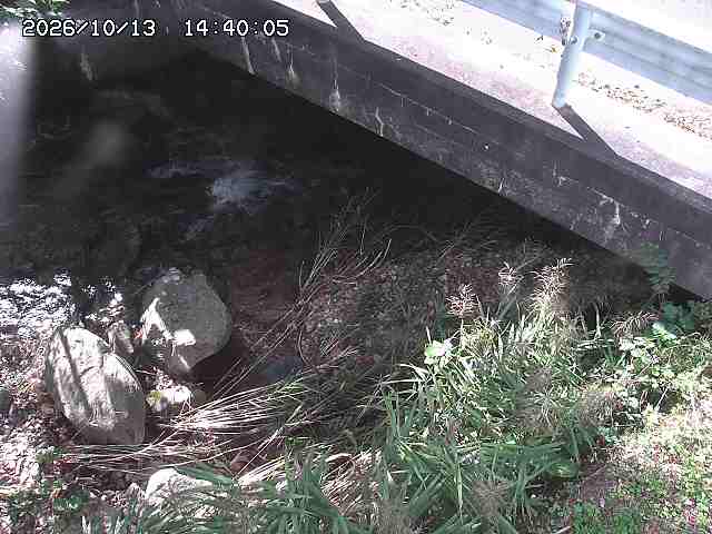 八河谷川１2026/10/13 14:30:00