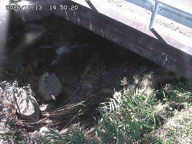 八河谷川１2026/10/13 14:30:00