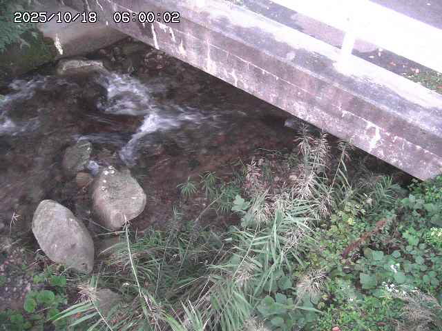 八河谷川１2025/10/18 20:30:00