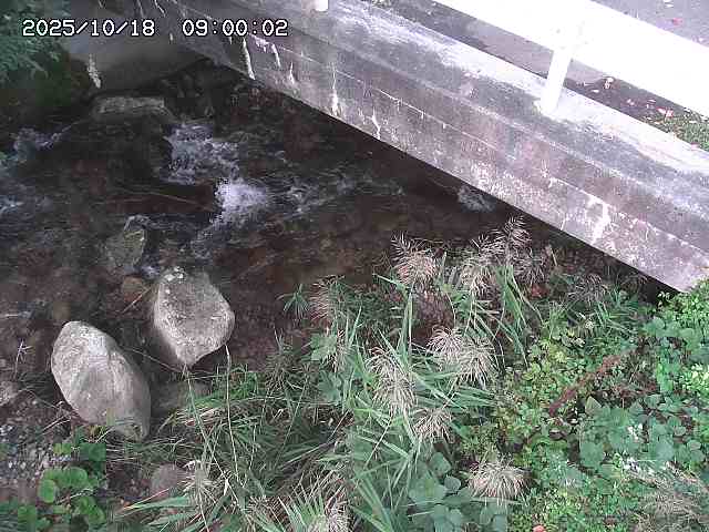 八河谷川１2025/10/18 20:30:00
