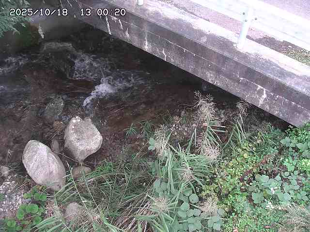 八河谷川１2025/10/18 20:30:00