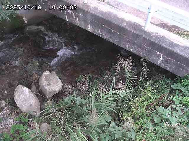 八河谷川１2025/10/18 20:30:00