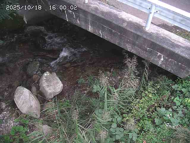 八河谷川１2025/10/18 20:30:00