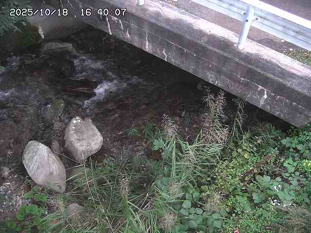 八河谷川１2025/10/18 20:30:00