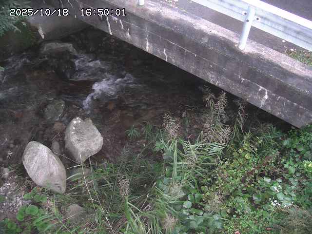 八河谷川１2025/10/18 20:30:00