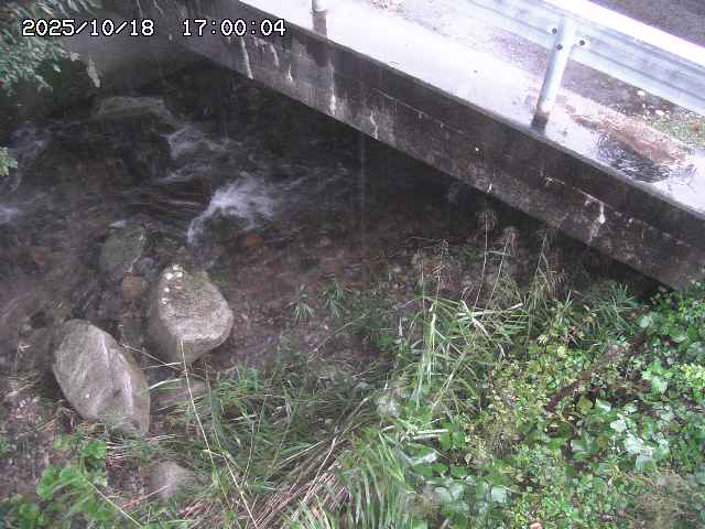 八河谷川１2025/10/18 20:30:00