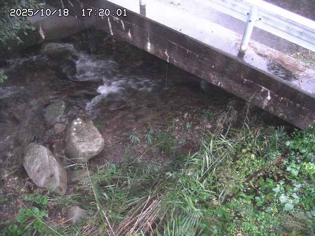 八河谷川１2025/10/18 20:30:00