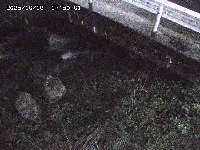 八河谷川１2025/10/18 20:30:00