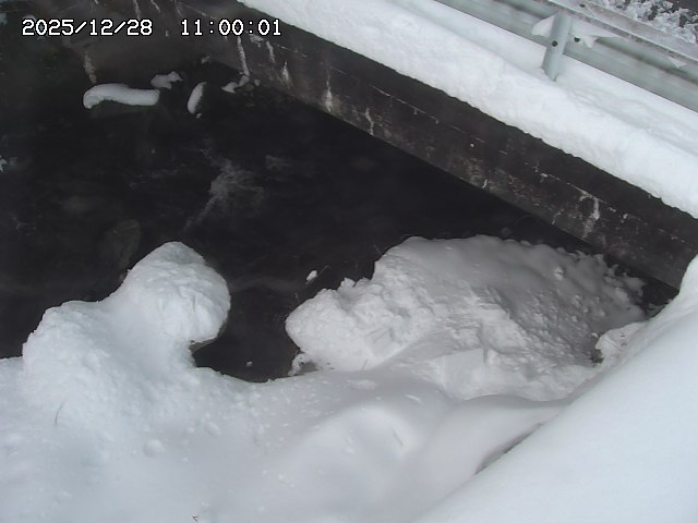 八河谷川１2025/12/29 10:00:00