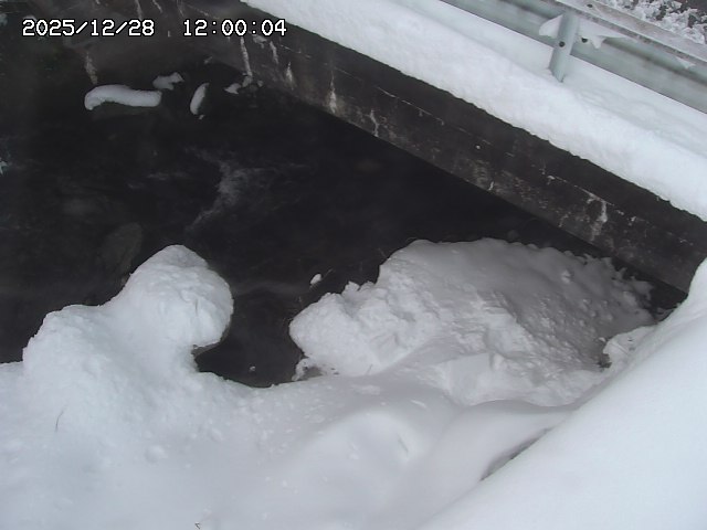 八河谷川１2025/12/29 10:00:00