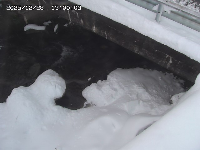 八河谷川１2025/12/29 10:00:00