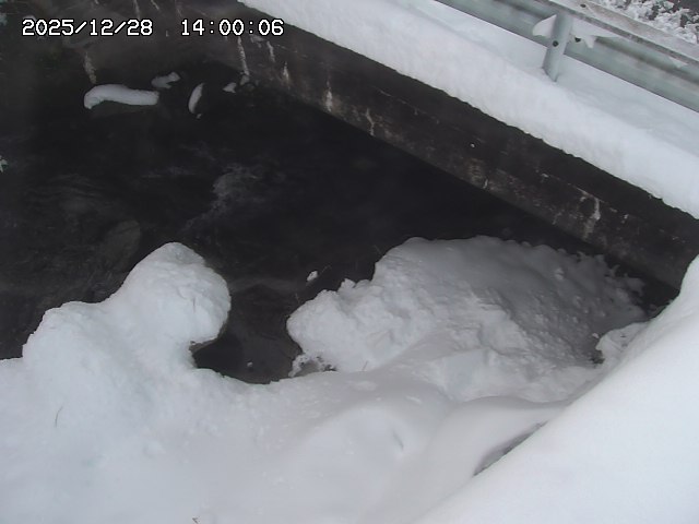 八河谷川１2025/12/29 10:00:00