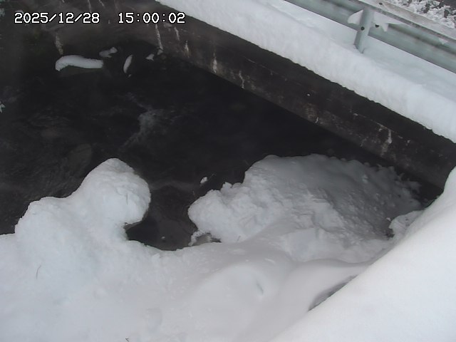 八河谷川１2025/12/29 10:00:00