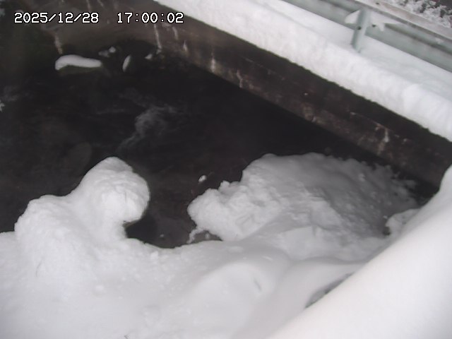 八河谷川１2025/12/29 10:00:00