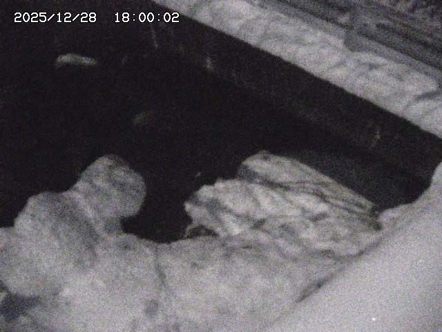 八河谷川１2025/12/29 10:00:00