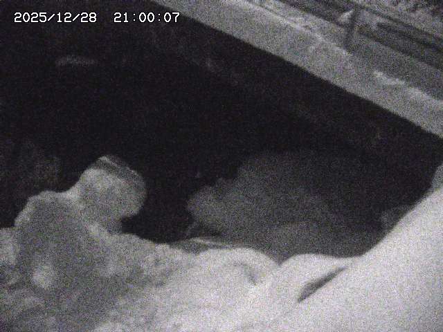 八河谷川１2025/12/29 10:00:00