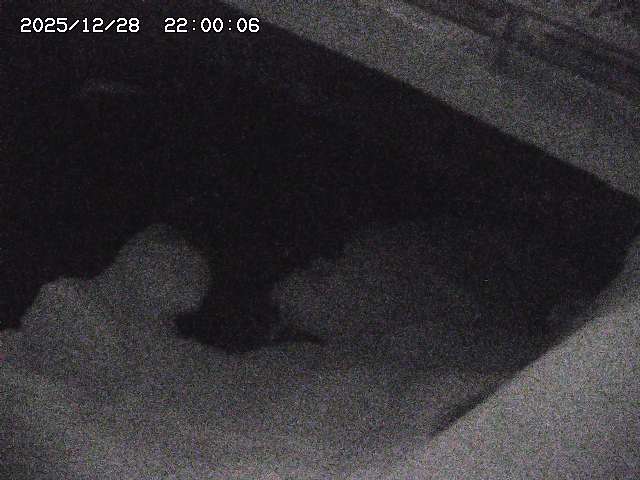 八河谷川１2025/12/29 10:00:00