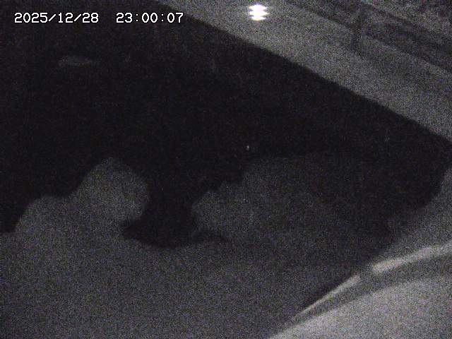 八河谷川１2025/12/29 10:00:00