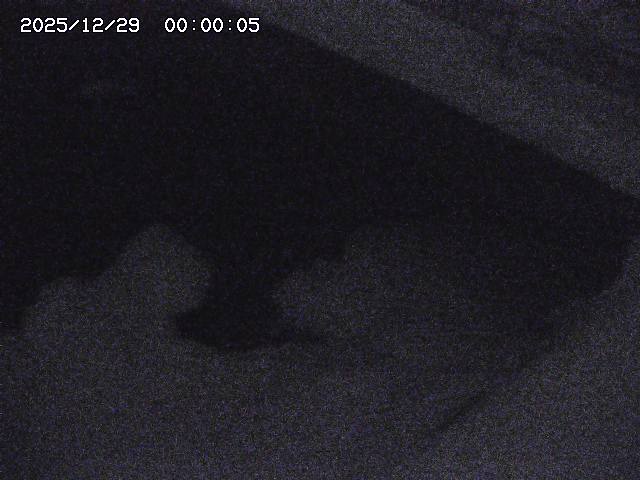 八河谷川１2025/12/29 10:00:00