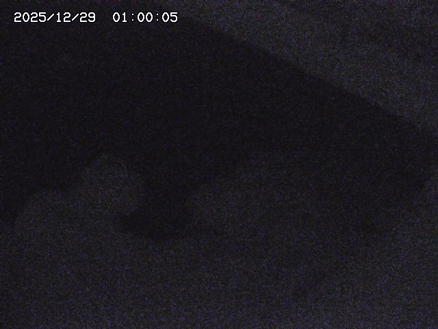 八河谷川１2025/12/29 10:00:00