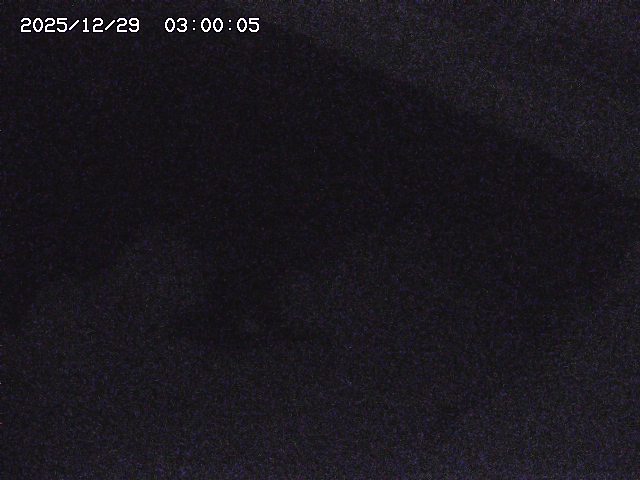 八河谷川１2025/12/29 10:00:00