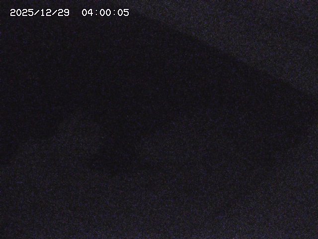 八河谷川１2025/12/29 10:00:00