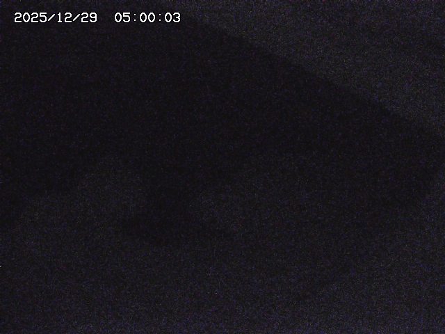 八河谷川１2025/12/29 10:00:00