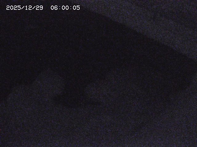 八河谷川１2025/12/29 10:00:00