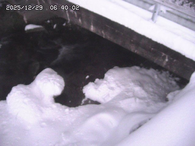 八河谷川１2025/12/29 10:00:00