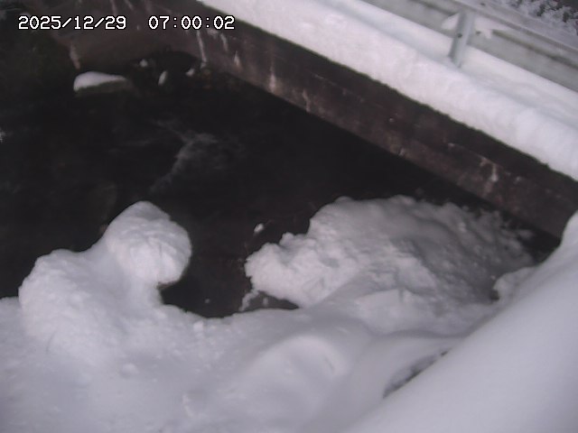 八河谷川１2025/12/29 10:00:00