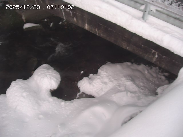 八河谷川１2025/12/29 10:00:00