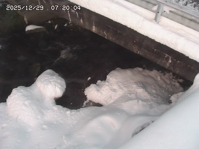 八河谷川１2025/12/29 10:00:00