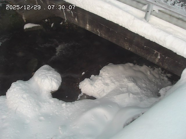 八河谷川１2025/12/29 10:00:00