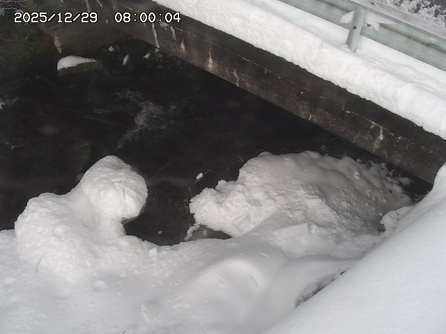 八河谷川１2025/12/29 10:00:00