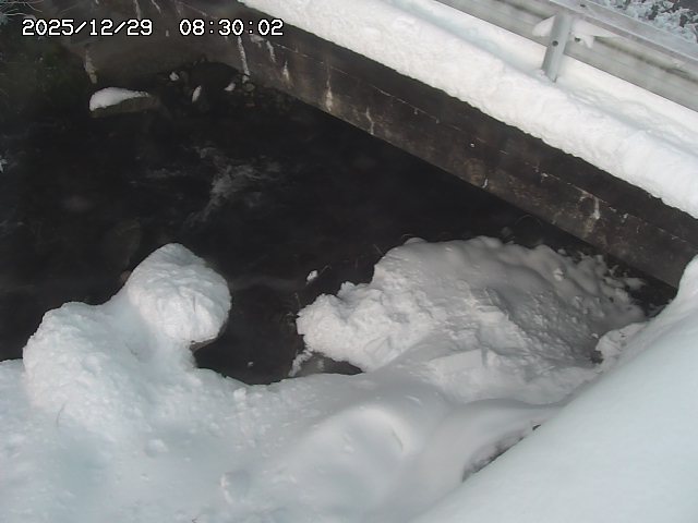 八河谷川１2025/12/29 10:00:00
