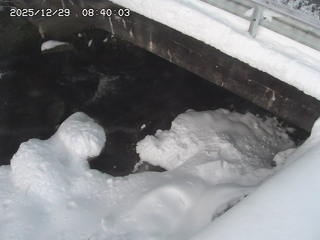 八河谷川１2025/12/29 10:00:00