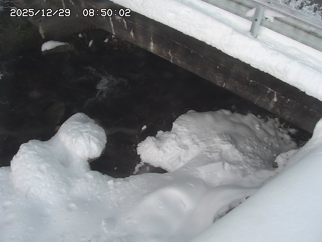 八河谷川１2025/12/29 10:00:00