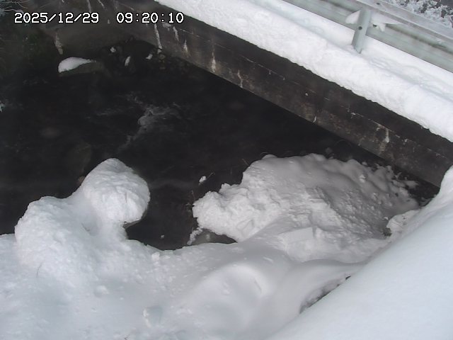 八河谷川１2025/12/29 10:00:00