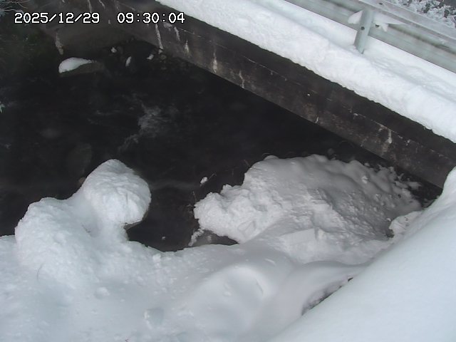 八河谷川１2025/12/29 10:00:00