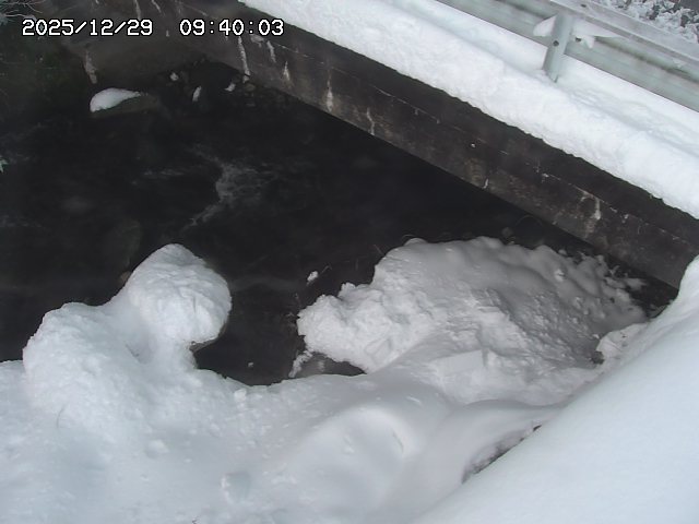 八河谷川１2025/12/29 10:00:00