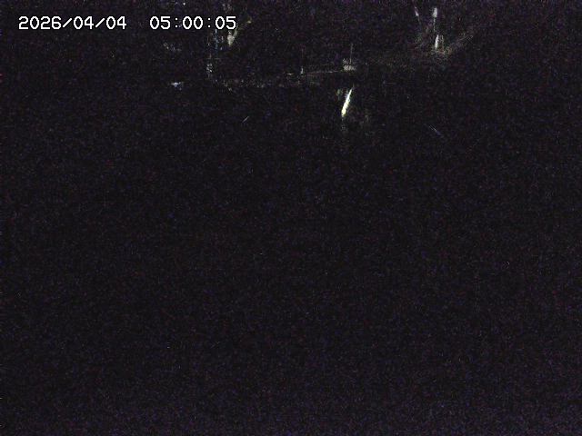 赤波川１2026/04/05 3:30:00